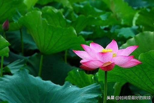人在做，天在看，做人一定要善良！（字字深刻）