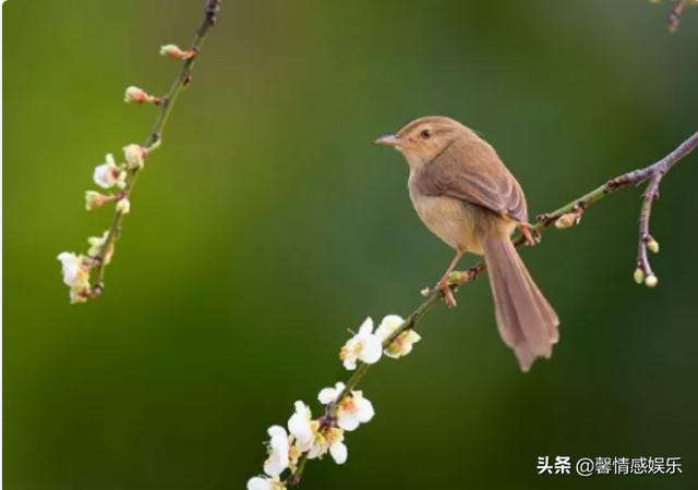 一位高僧忠告：人太心善，容易麻煩纏身，特別「這3種時候」！