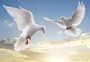 想了解你「深藏的個性」嗎？「選擇出生日期」看看你是什麼鳥！