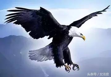 想了解你「深藏的個性」嗎？「選擇出生日期」看看你是什麼鳥！