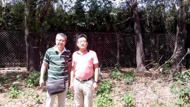 不用水泥不用磚！阿公為愛妻巧造「67坪豪華別墅」　走進去空中花園「宛如置身仙境」還有盪鞦韆❤