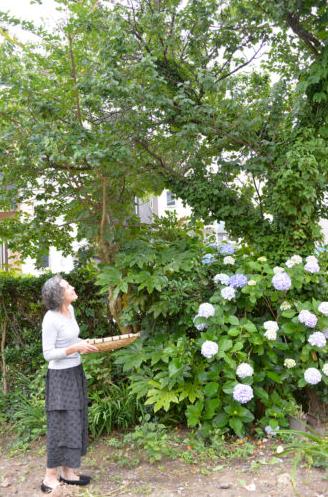 當了44年家庭主婦！5點就起床「從早忙到晚」仍樂在其中　「打理一家9口不是問題」做家事做出興趣