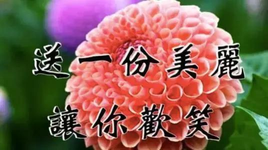 今天立秋，祝福送上！「願你有好運」為秋天開個好頭，接住幸福平安過金秋