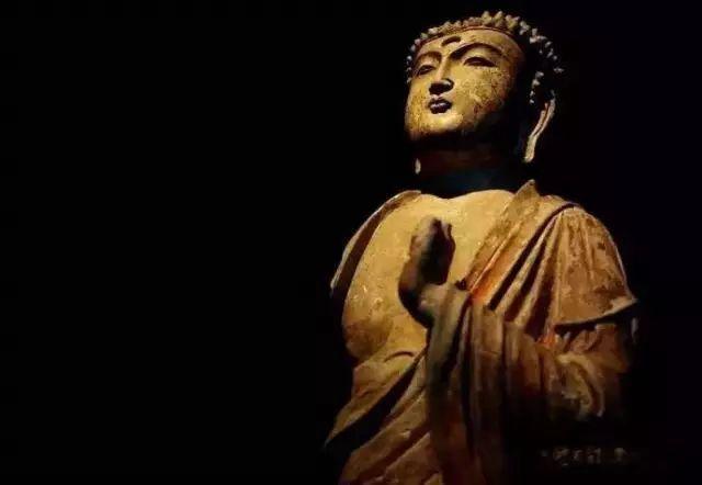 因果不饒人！老僧人提醒：3類有「靈性」動物 「最好不傷害」　惡果我們是吃不消的
