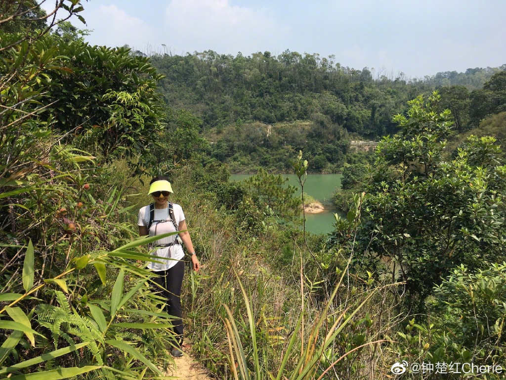 一代女神鍾楚紅「堅持不打醫美」　把日子過成詩「61歲登山素顏照」網讚翻：這才叫凍齡！