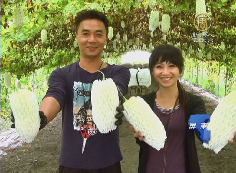 種出彩色人生！放棄十年半導體生涯改種田　吳清文種出幸福苦瓜