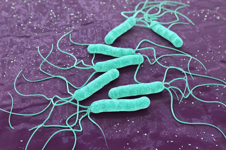 63歲男胃痛！堅持每天「生吃大蒜」滅菌抗腫瘤　3個月後去檢查醫生說：來得太晚了