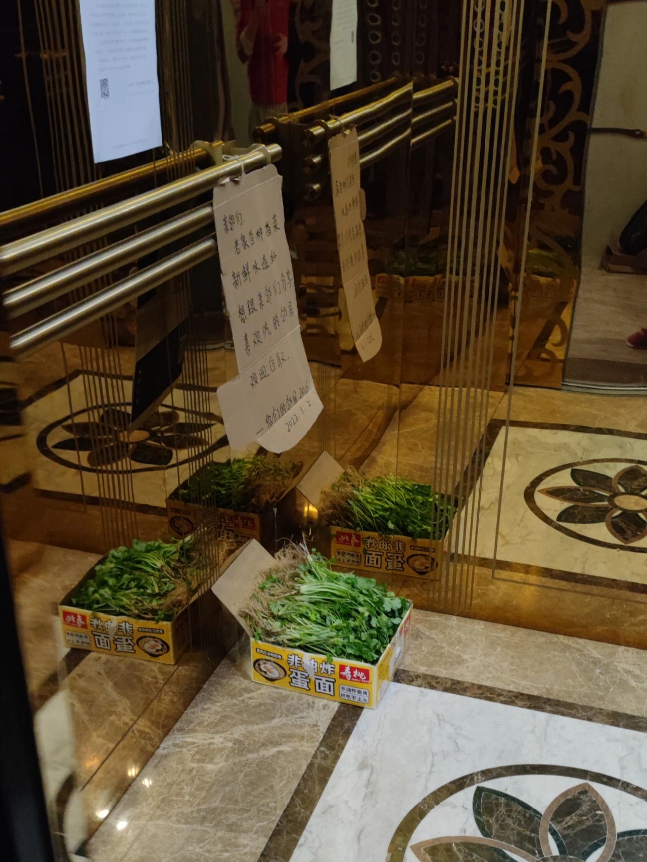 老家自己種的！大方鄰居「電梯裡放新鮮香菜」和大家分享　網大讚是天使「他一看卻搖頭了」