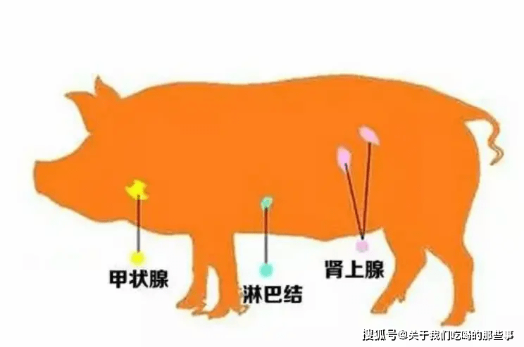 元旦過節不要買錯了！豬身上「4種肉」越吃病越多　告訴婆媽：這3個部位才最好吃