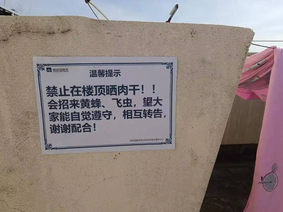 鄰居在頂樓「曬一排排肉乾」　沒多久「她掀開被子」嚇到頭皮發麻