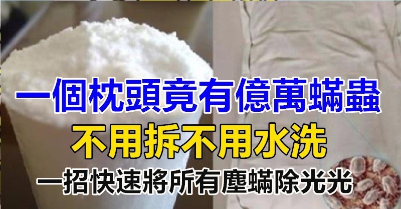 一個枕頭竟有億萬蟎蟲？教你妙招「不用拆不用水洗」　一招快速將所有塵蟎除去