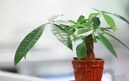鞋子千萬不要這麼放，不然漏財一輩子，越過越窮